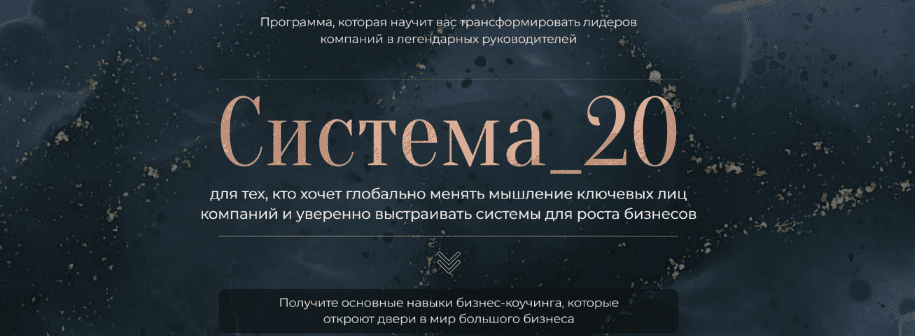 Изображение [Михаил Саидов, Елена Долинская] Система_20 (2024)