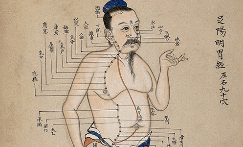 Изображение [Краниосакральная академия] Практический курс основам акупунктуры. Модуль 3 (2024)