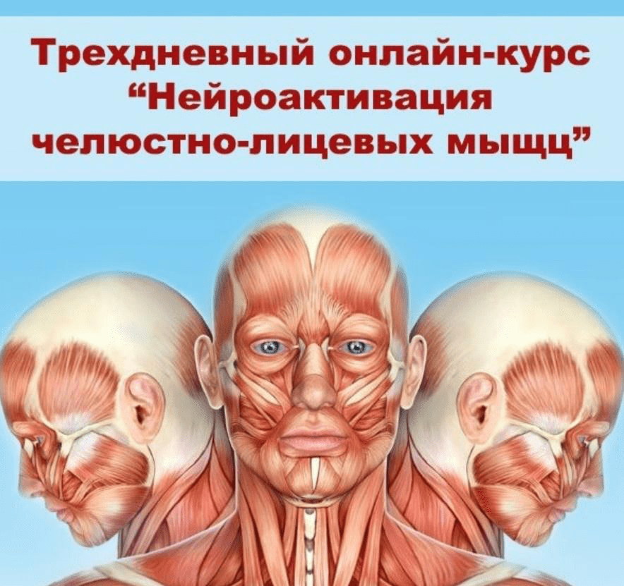 Изображение [Александр Киреев, Татьяна и Евгений Коган] Нейроактивация челюстно-лицевых мышц (2021)