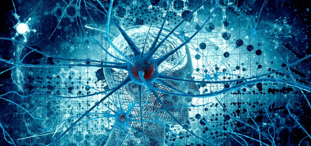 Изображение [Ольга Сварник] Введение в когнитивную нейронауку. Лекция 5. Процессы памяти в мозге (2025)