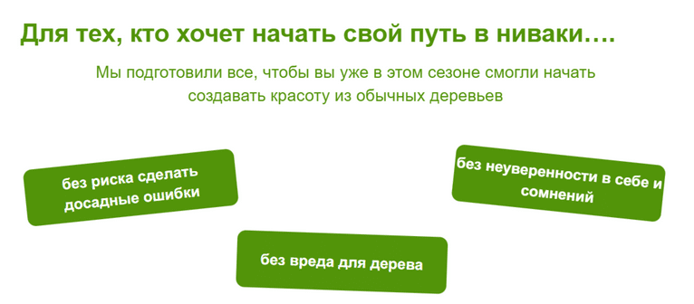 Изображение [Андрей Даусенков] Дерево как произведение искусства. Пакет Будущий мастер (2025)
