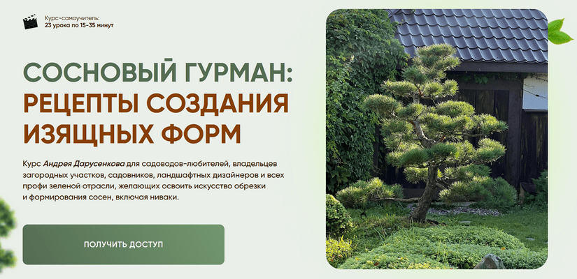 Изображение [Андрей Дарусенков] Сосновый гурман: рецепты создания изящных форм (2025)