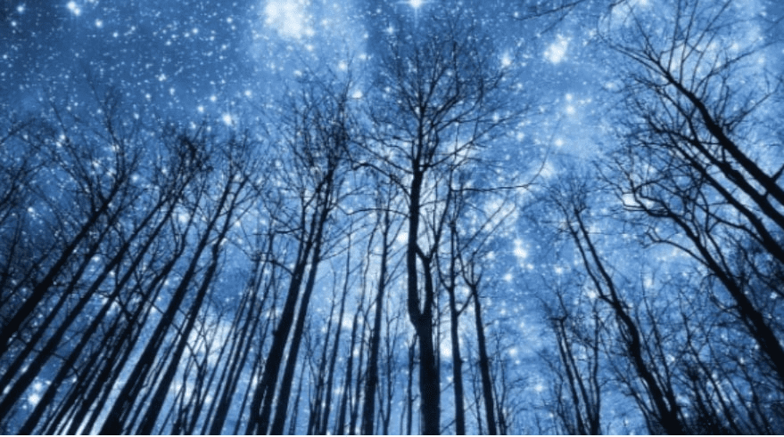 Изображение [Анна Староминская, Константин Дараган] Астрология налегке (Март-Апрель 2025)