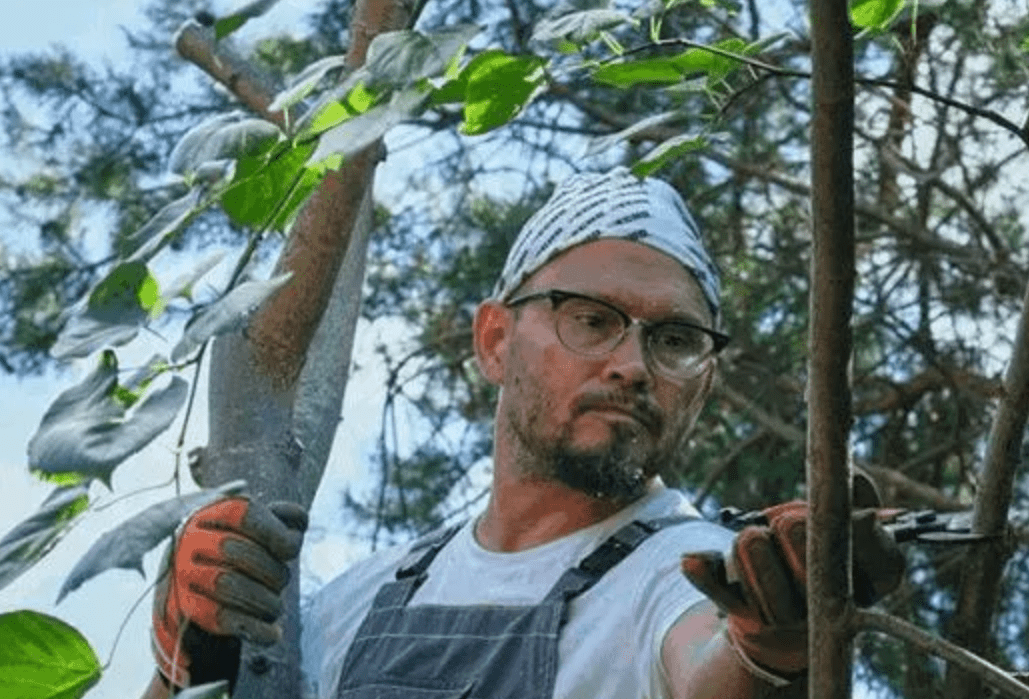 Изображение [Умный Садовник] Защита и здравоохранение растений от вредителей и болезней при помощи обрезки (2025)