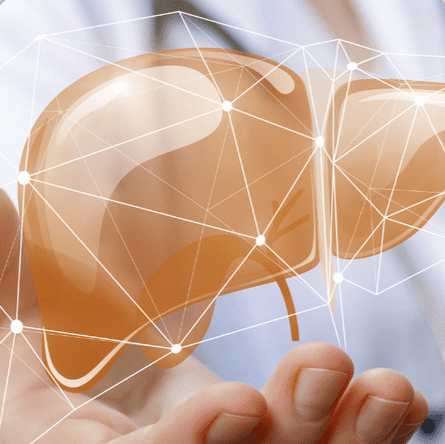 Изображение [Валерий Подрубаев] [Humberto 2.0] Печень забита жиром — как остановить тихого убийцу? (2025)