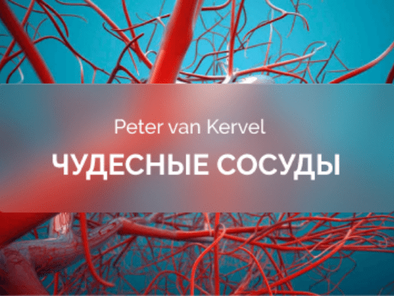 Изображение [Питер Ван Кервель] [Краниосакральная академия] Чудесные сосуды (2025)