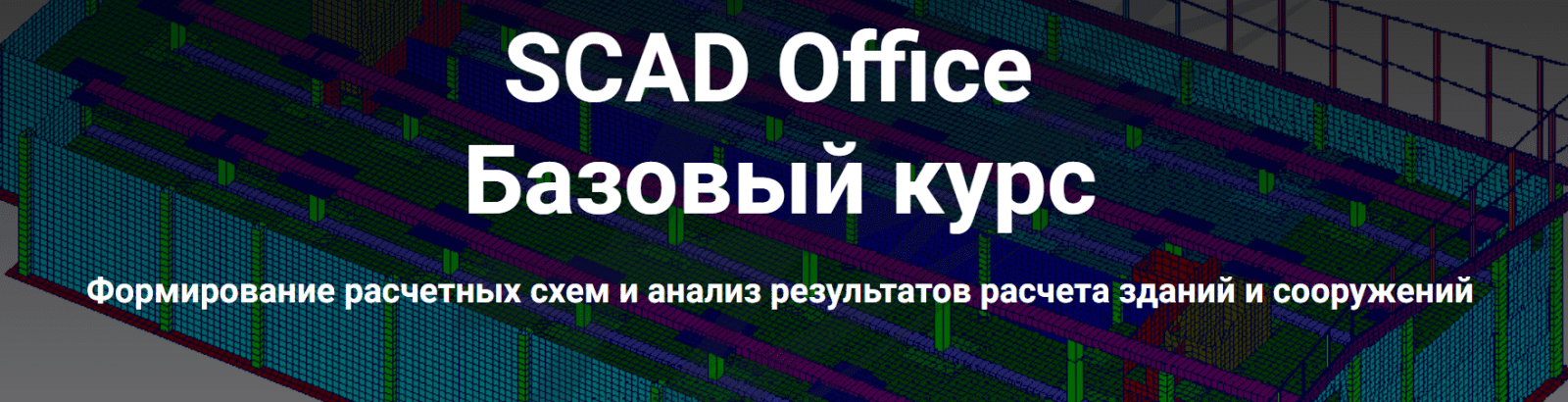 Изображение [Школа НИП] SCAD Office. Базовый курс (2022)