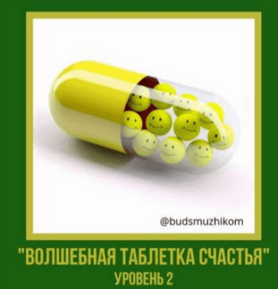 Изображение [Владимир Баранов] Волшебная таблетка счастья. Уровень 2. Будь с мужиком (2025)