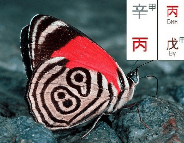 Изображение [Ольга Фандорина] Выбор профессии. Вебинар 2 (2025)