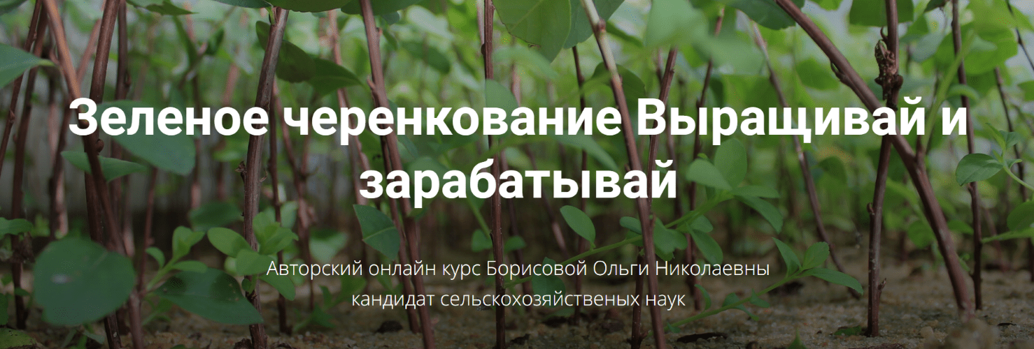 Изображение [Питомник растений «Глория»] Ольга Борисова ― Зеленое черенкование. Выращивай и зарабатывай (2025)