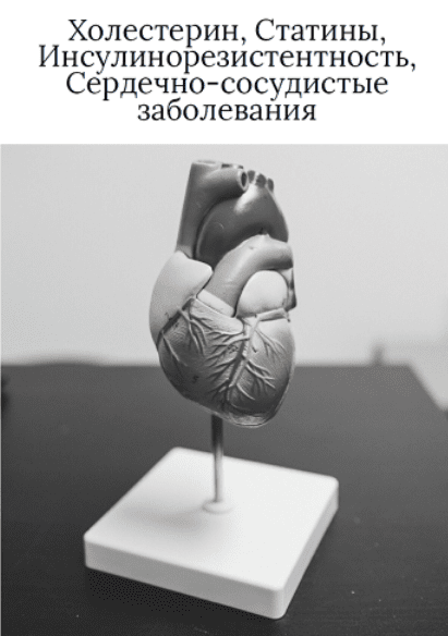 Изображение [О. Видманова] Холестерин, статины, инсулинорезистентность, сердечно-сосудистые заболевания (2025)