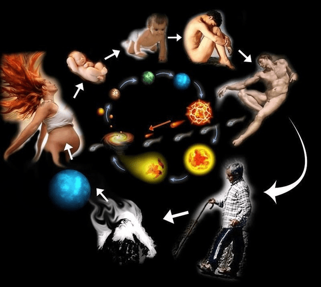 Изображение [Мария Гнатовская] Фаза Ци: спрятанная инструкция к вашей жизни (2025)