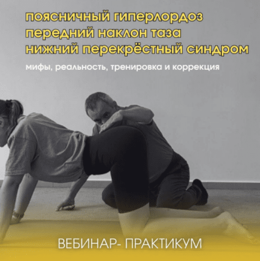Изображение [А. Волоткевич] Поясничный гиперлордоз, передний наклон таза, нижний перекрёстный синдром (2025)