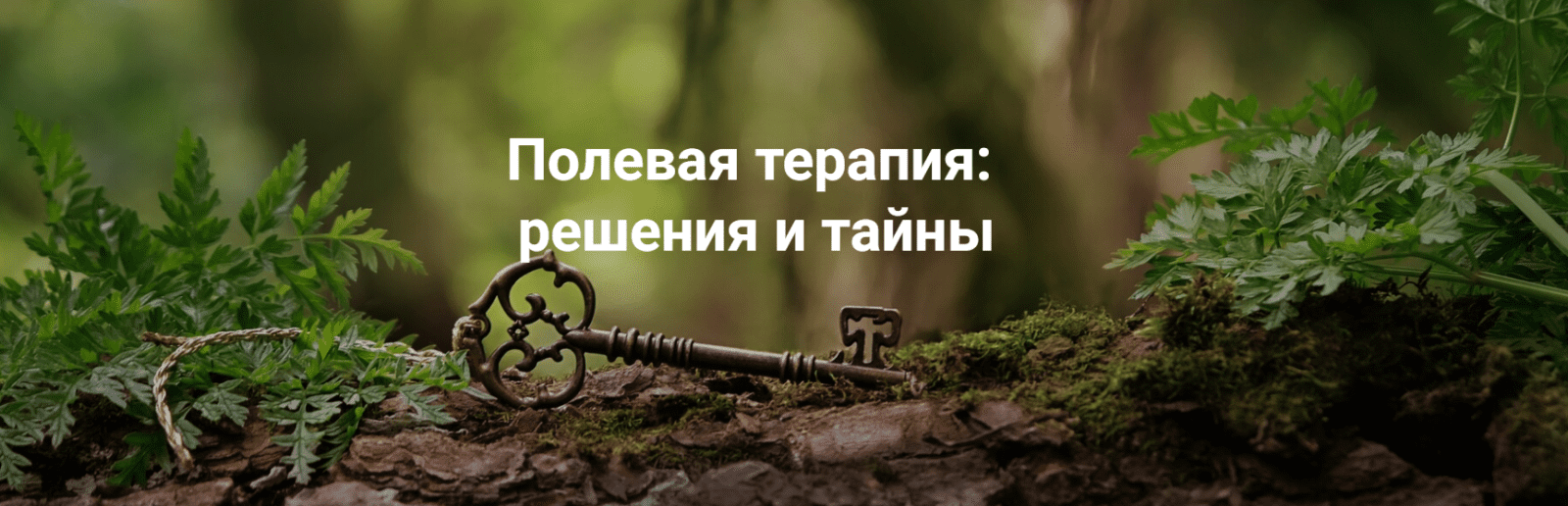 Изображение [Институт Открытого поля] Елена Веселаго ― Полевая терапия: решения и тайны (2025)