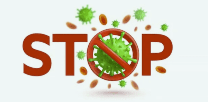 Изображение [Катерина Форма, Ирина Выборнова] Стоп Вирус (2025)