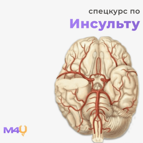 Изображение [Medforyou - школа медицины] Спецкурс по инсульту (2025)