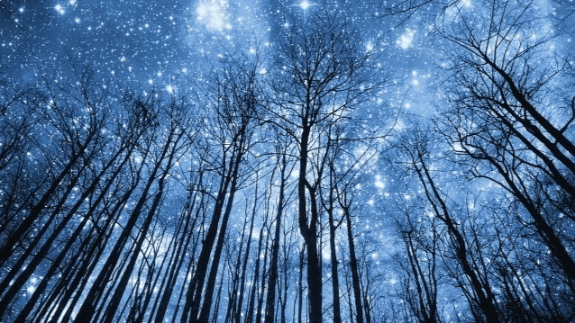 Изображение [Анна Староминская, Константин Дараган] Астрология налегке (Август-Сентябрь 2025)