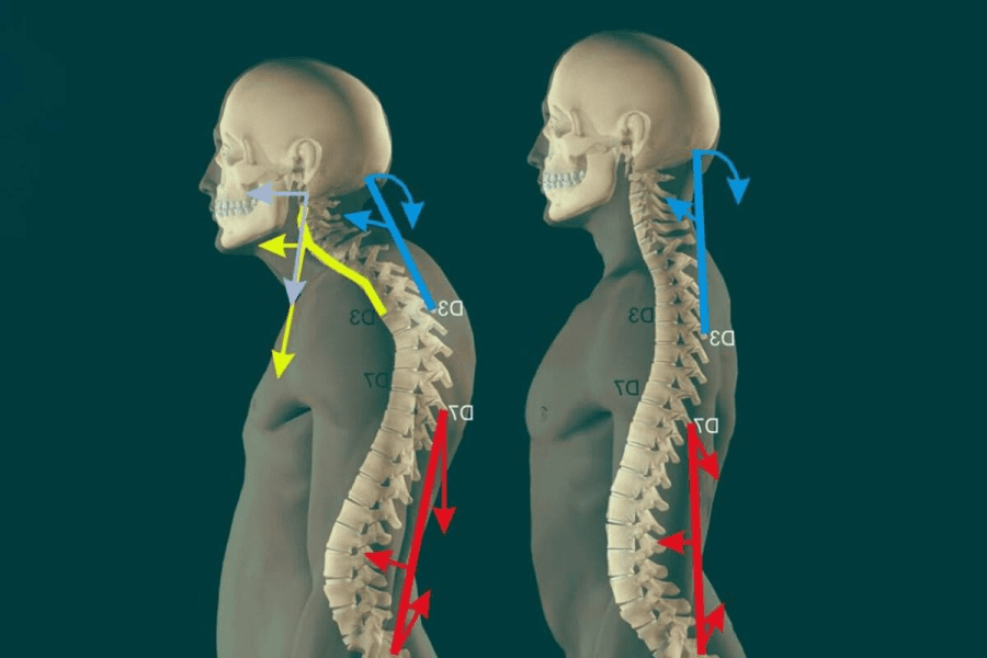 Изображение [kate_good_fitt] Екатерина Васильева ― Курс 40 + (2025)