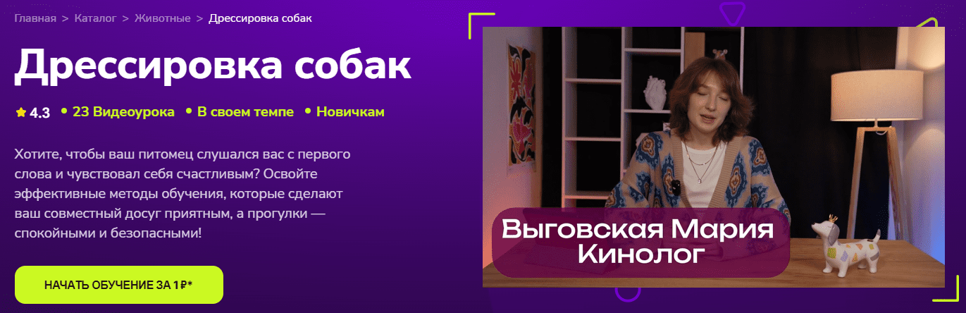 Изображение [TutorPlace] Мария Выговская ― Дрессировка собак (2025)