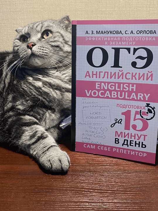 Изображение [Светлана Орлова, Аида Манукова] [Англомастер] Лексика для ОГЭ. Интерактивный курс (2025)