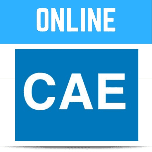 Изображение [Newson's Place] Paul Newson ― CAE – Certificate in Advanced English - C1 (whole course) (2020)
