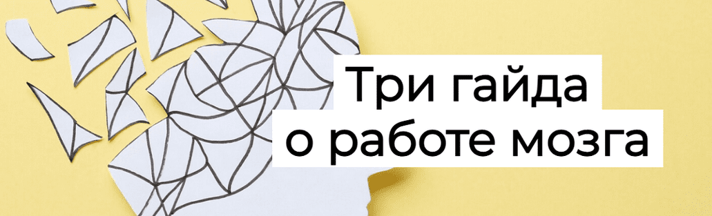 Изображение [Елена Иванова] [Humberto.2.0] Три гайда о работе мозга (2025)