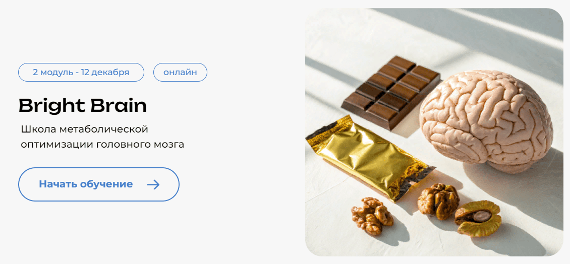 Изображение [PreventAge] Андрей Гострый ― Школа метаболической оптимизации мозга Bright Brain. Модуль 2 (2025)