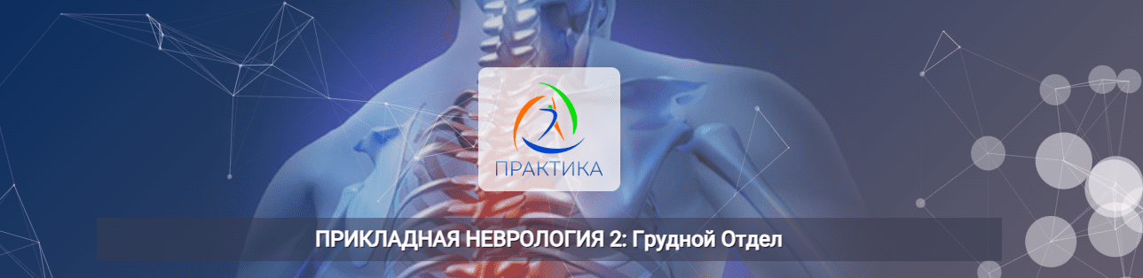 Изображение [Мария Недре] [Центр Практика] Прикладная неврология 2: грудной отдел (2025)
