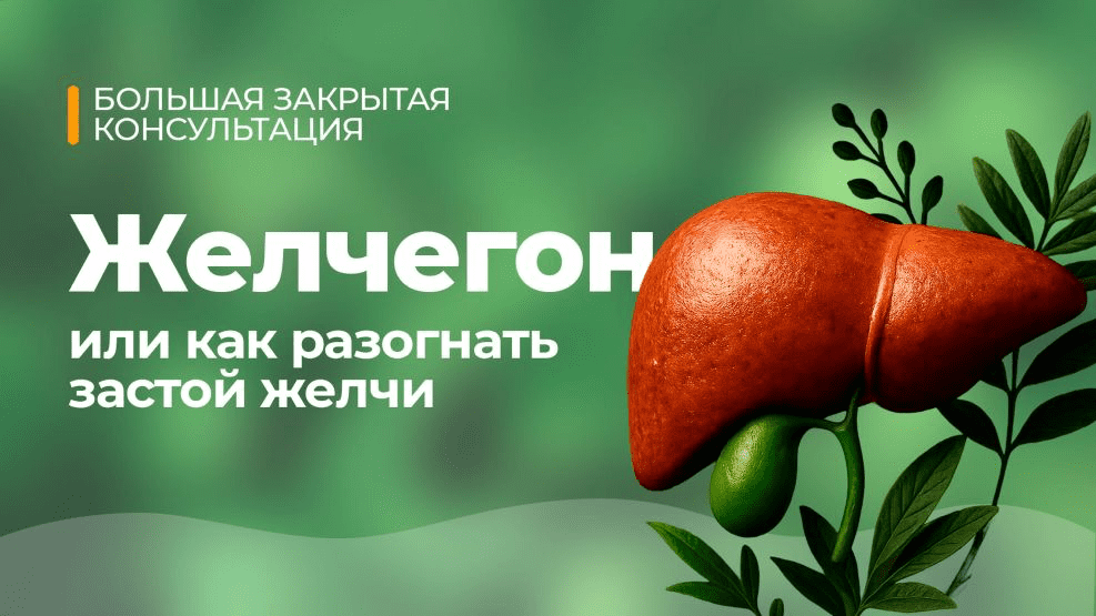 Изображение [Юлия Мартьянова] Желчегон (2025)