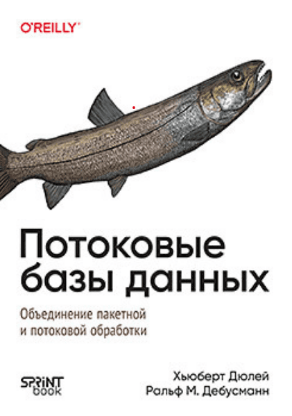 Изображение [Хьюберт Дюлей, Рольф М. Дебусманн] [Питер] Потоковые базы данных (2025)
