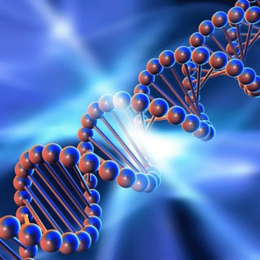 Изображение [genetics_4u] Биохимия мужского здоровья (2025)