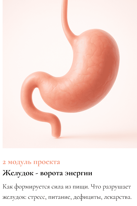 Изображение [Ксения Глинкина (Черная)] ЖКТ про Жизнь. 2 модуль: Желудок - ворота энергии (2025)