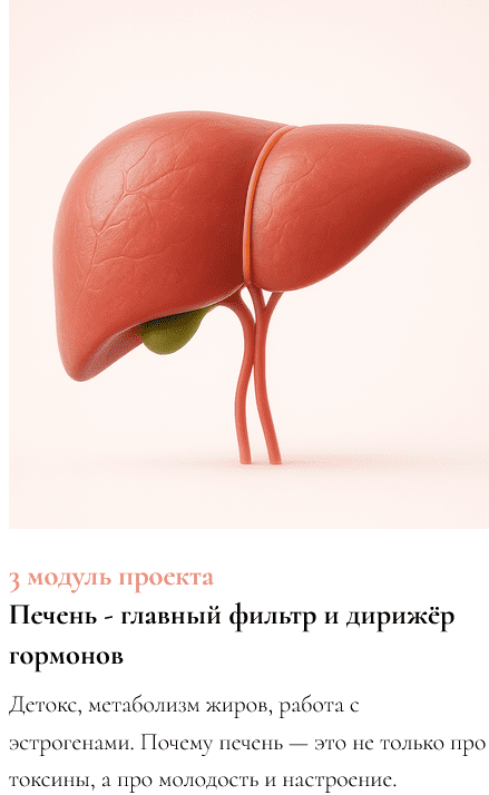 Изображение [Ксения Глинкина (Черная)] ЖКТ про Жизнь. 3 модуль: Печень-главный фильтр и дирижёр гормонов (2025)