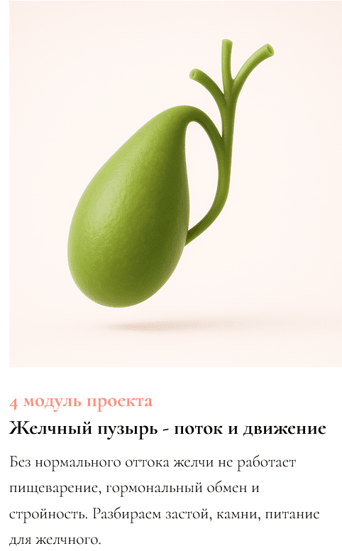 Изображение [Ксения Глинкина (Черная)] ЖКТ про Жизнь. 4 модуль: Желчный пузырь - поток и движение (2025)