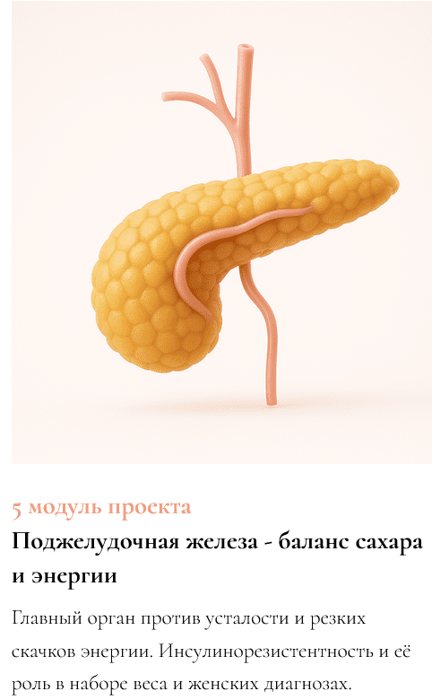 Изображение [К. Глинкина (Черная)] ЖКТ про Жизнь. 5 модуль: Поджелудочная железа-баланс сахара и энергии (2025)