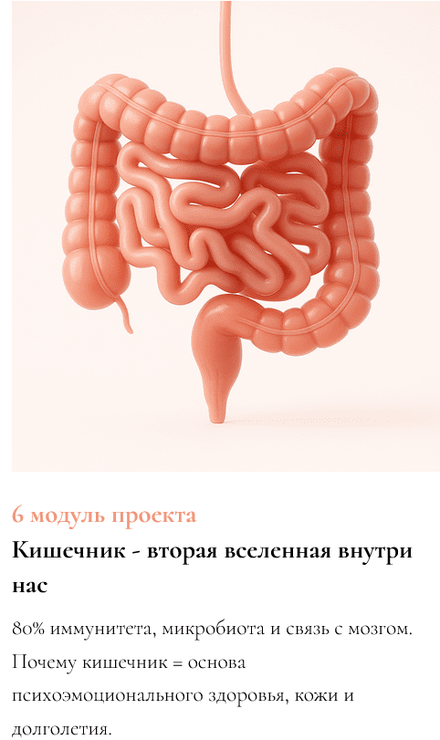 Изображение [Ксения Глинкина (Черная)] ЖКТ про Жизнь. 6 модуль: Кишечник - вторая вселенная внутри нас (2025)