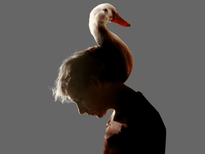 Изображение [EduNote] Евгения Гайдученко, Мария Кутузов — Как обмануть смерть: пошаговая инструкция (2025)