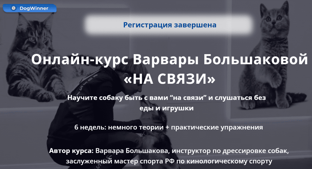 Изображение [DogWinner] Варвара Большакова — На связи (2025)